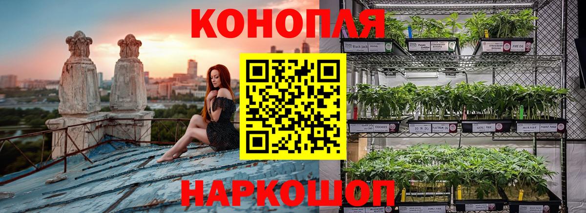 Конопля VHQ  Вход с VPN  Янаул  Бошки марихуана Bruce Banner  Каннабис план 